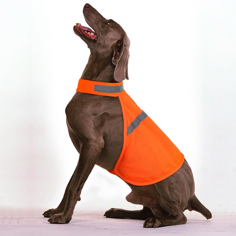 Vizbrite Dog Jacket High Visibility Safety Reflective Dog Vest for Small Medium Large Dogs (Medium, Orange) - Image 4